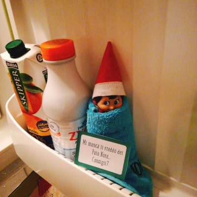 frigo elfo